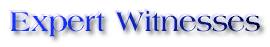 expertwitness.jpg (2890 bytes)